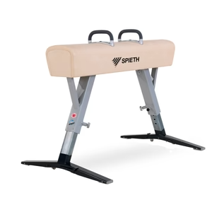 Competition Pommel Horse